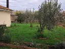 1296069582.webp