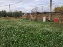 1296069579.webp