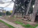 1296069575.webp