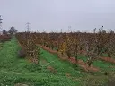 1293554630.webp
