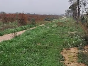 1293554628.webp