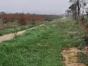 1293554628.webp