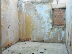 1297569121.webp