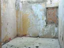 1297569121.webp