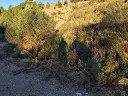 1282982679.webp