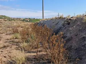 1268095075.webp