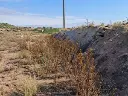 1268095075.webp