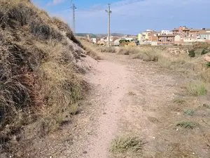 1268095110.webp
