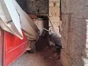1259176770.webp