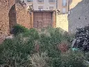 1259176778 (1).webp