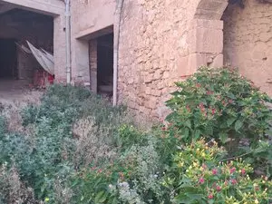 1259176768.webp