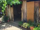 1253405315.webp