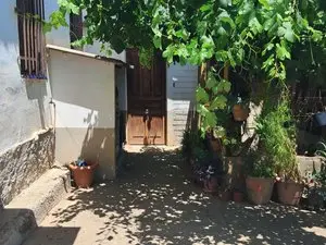 1253405366.webp