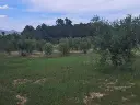 1238609344.webp