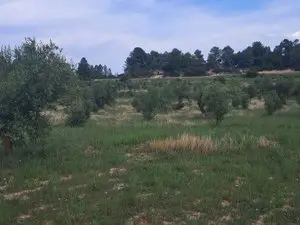 1238609334.webp