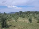 1238609364.webp