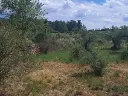 1238609347.webp