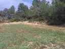 1238609351.webp
