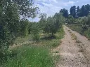 1238609318.webp