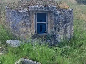 1238609312.webp