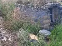 1238609343.webp