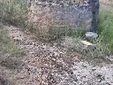 1238609315.webp