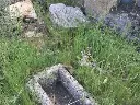 1238609323.webp