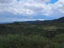 1236457497.webp