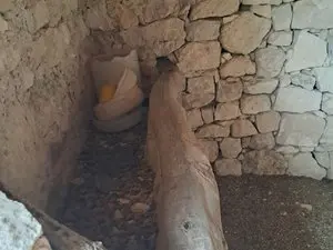 1236457499.webp