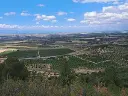 1236457496.webp