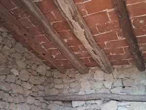 1236457489.webp