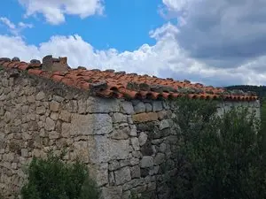 1236457492.webp
