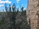1236457442 (1).webp