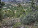1236457438.webp