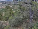 1236457480.webp