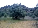 1229851292.webp
