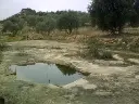 1229851553.webp