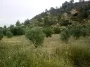 1229851451.webp