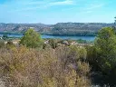 1229851472.webp