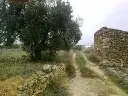 1229851544.webp