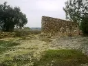 1229851450.webp