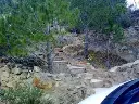 1229851537.webp