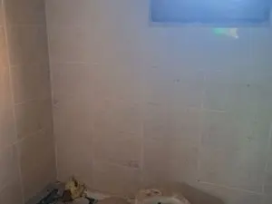 1225835283.webp