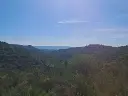 1225835218.webp