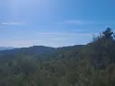 1225835217.webp