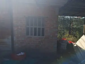 1225835237.webp