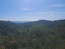 1225835233.webp