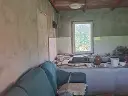 1225835229.webp