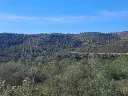1225835309.webp