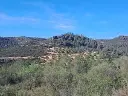 1225835265.webp